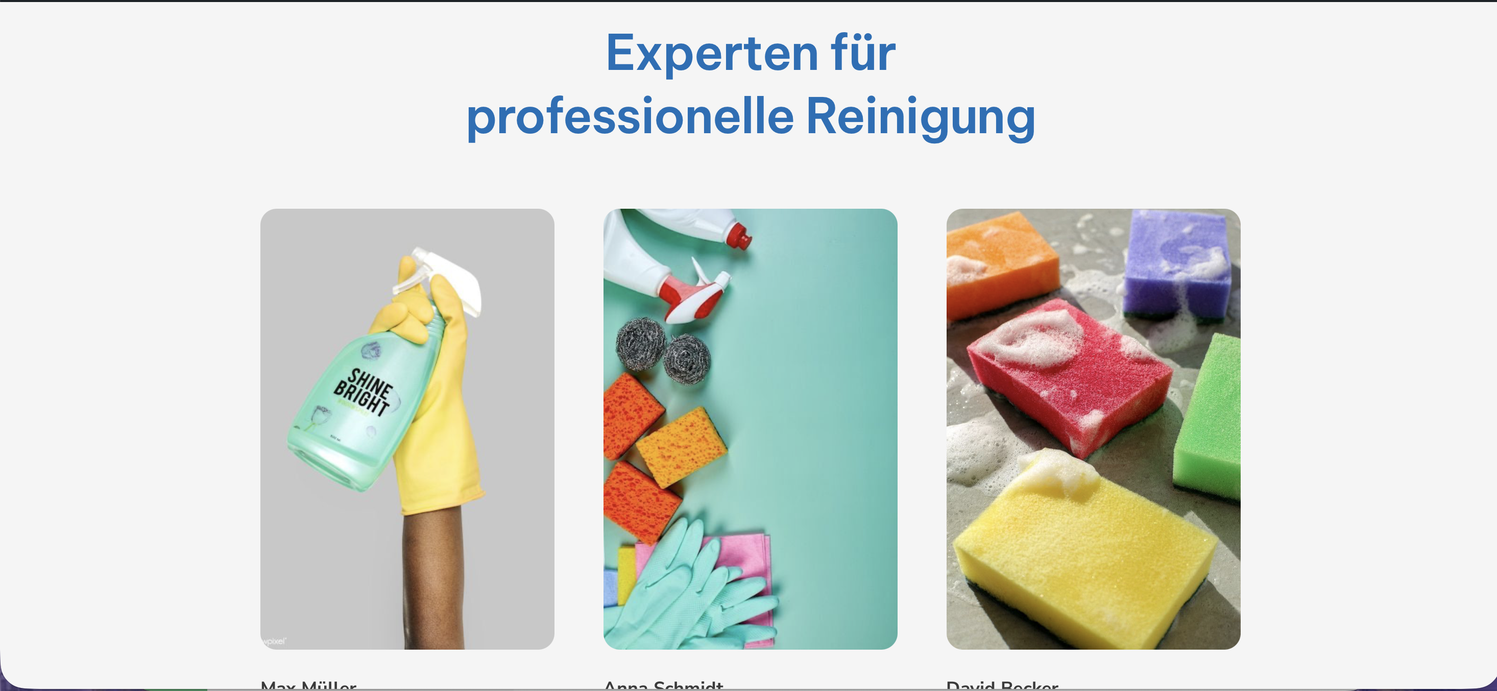 Services Website body